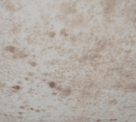Mold Example 1