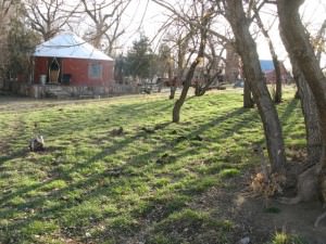 yurt.1